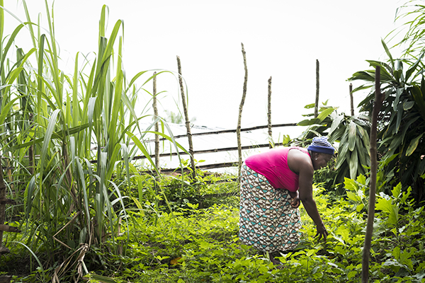 Woman in garden in Sierra Leone