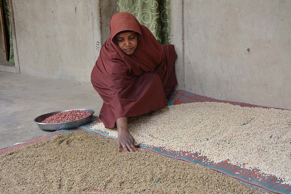 woman inspects soybeans in Nigeria