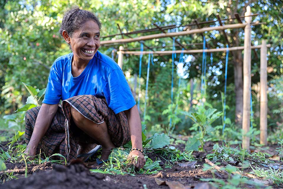 woman tending kitchen garden in Indonesia