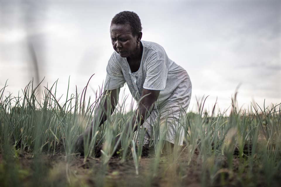 woman tends her crops in South Sudan
