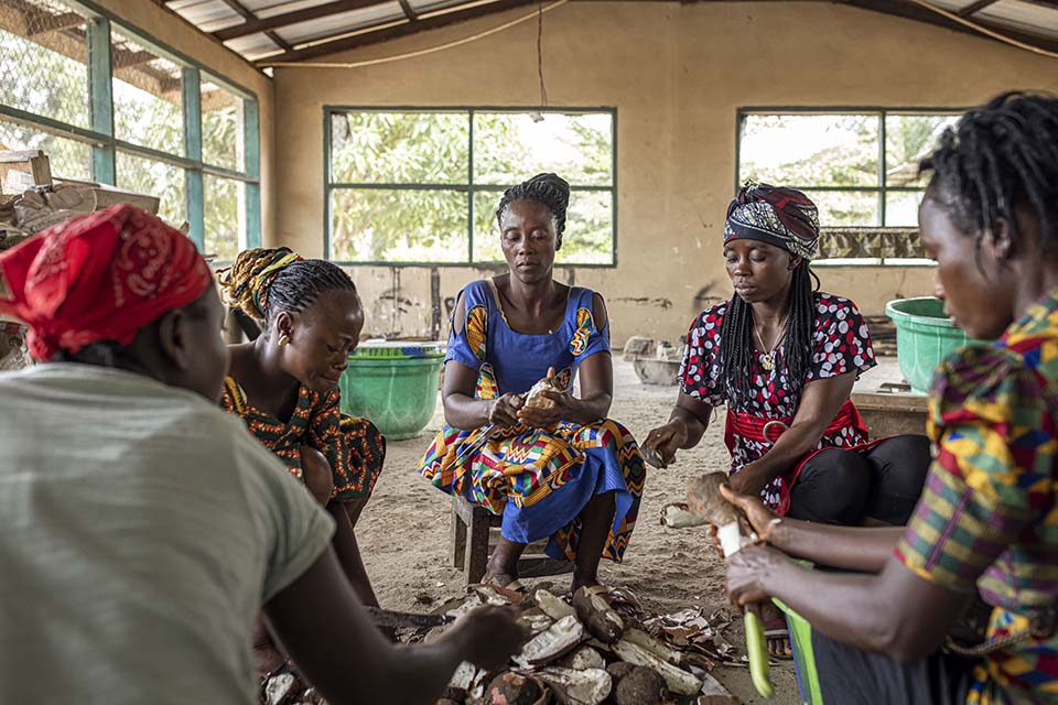 women process cassava in Liberia