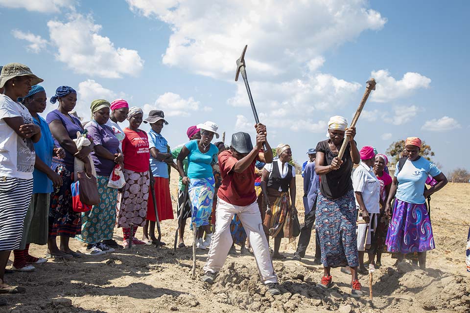 Zimbabwe farmers