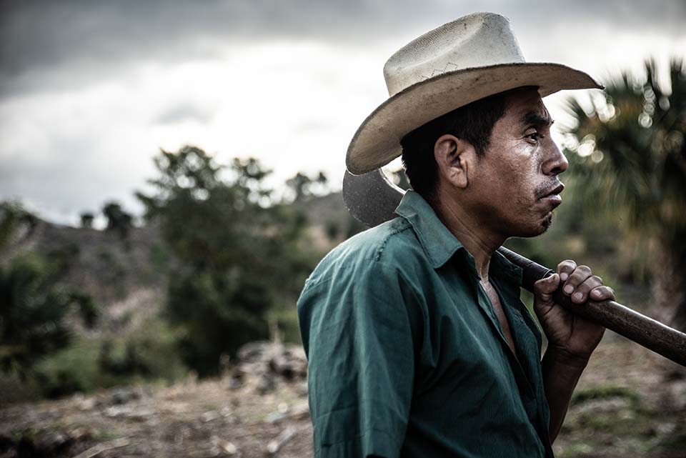 profile of farmer in Guatemala