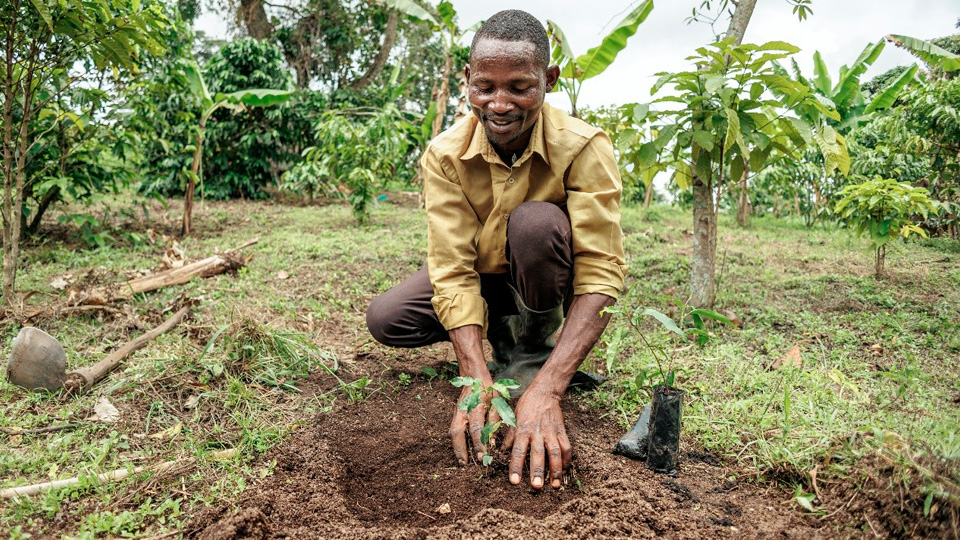 A man planting a seedling in the ground.