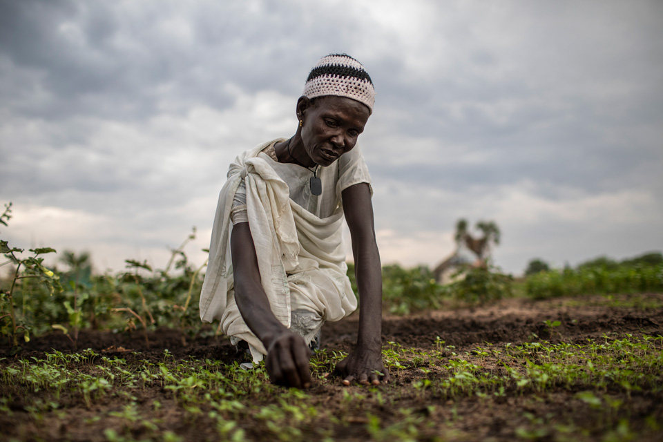 A woman tends to vegetables on the farm.