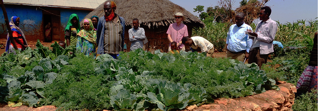 Muktar Muhamed learned the benefits of keyhole gardens. Keyhole gardens are small, raised-bed gardens that need minimal amounts of water. Photo by Fikru Dessalegn for CRS  