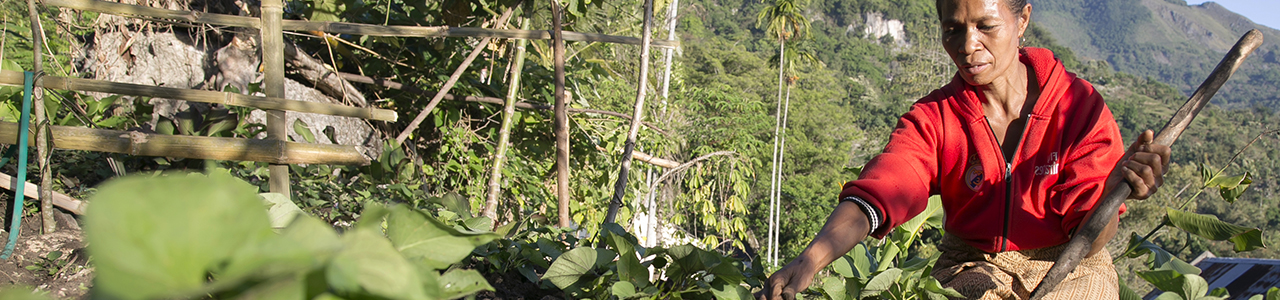 gardener in timor leste