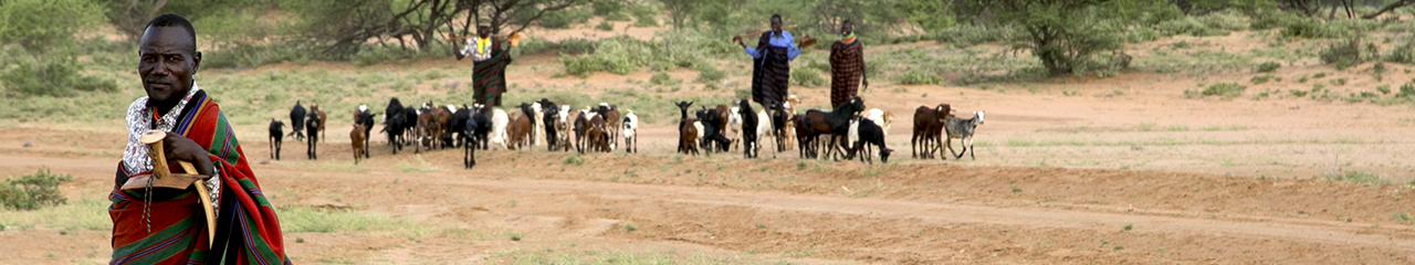 goatherders in Kenya