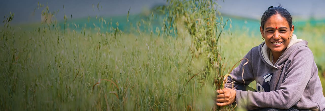 young woman collects grasses for her goats