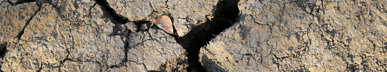 parched earth of Zimbabwe drought