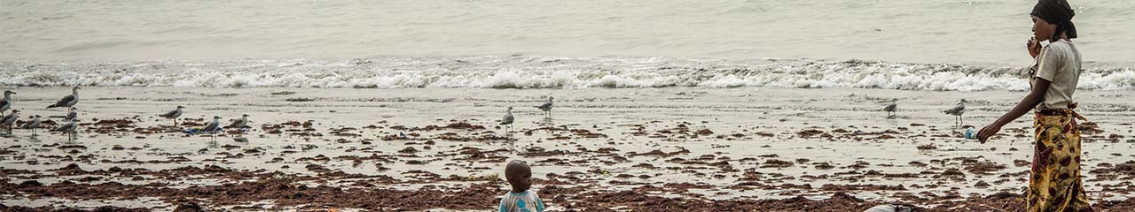 Gambia shoreline