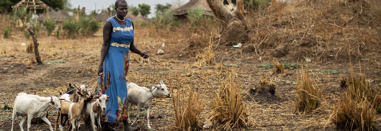 woman tends goats in South Sudan