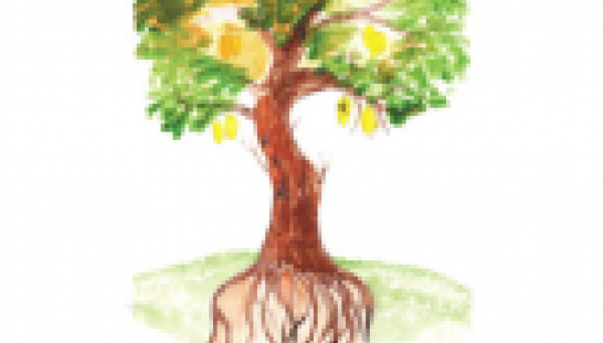 Rising from Resilient Roots