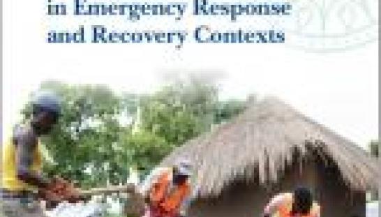 Livelihoods Programming report cover