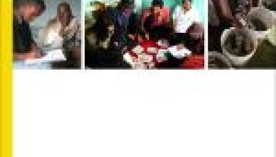 Cover of Monitoring, Evaluation, Accountability and Learning in Emergencies document