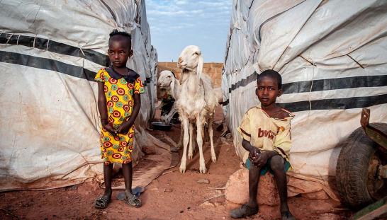 children and goats