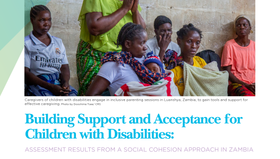Assessment Results from a Social Cohesion Approach in Zambia