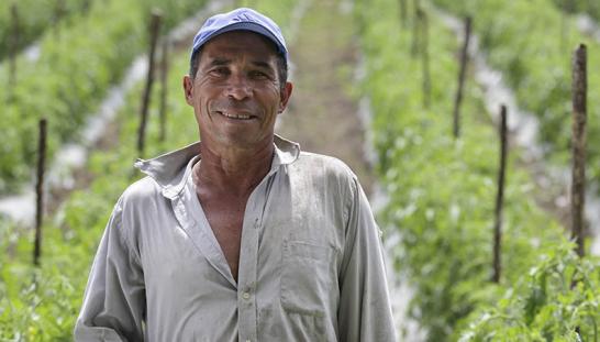 A man in the forest.