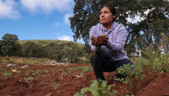 woman in her field in Mexico