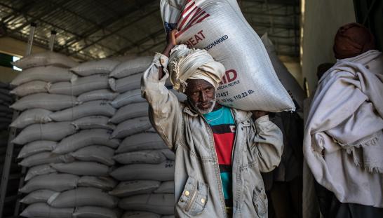 Ethiopia food security