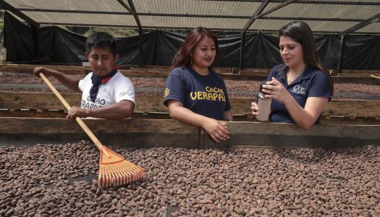 3 people standing over coffee beans