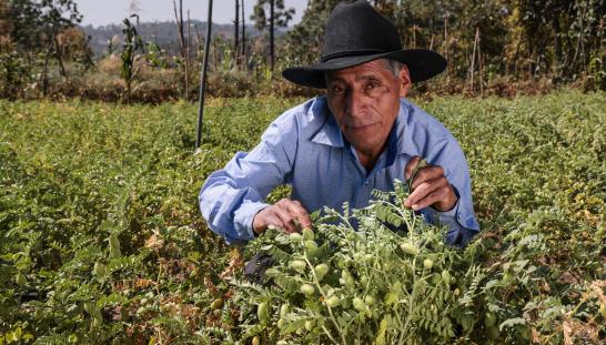 Regenerative agriculture rebuilds and protects soil so that it can continue to be productive.