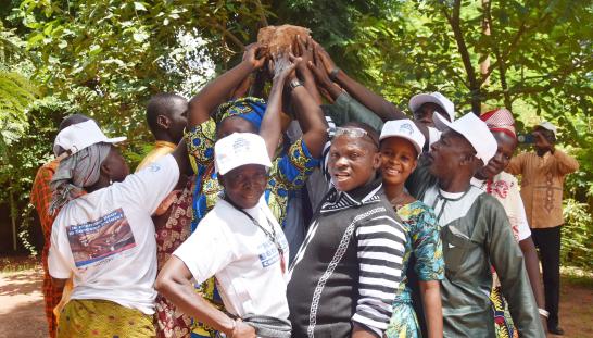 capacity strengthening and solidarity in Benin