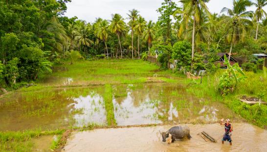 water resources