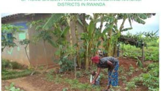 Publication cover