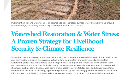 Watershed restoration strategy