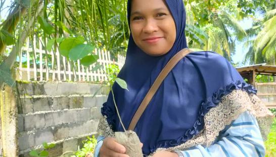 Woman holds a growing sapling plant.