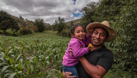 A man holding his daughter in front of their corn field.