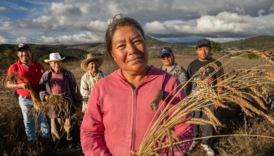 Grupo de agricultores en un campo de trigo