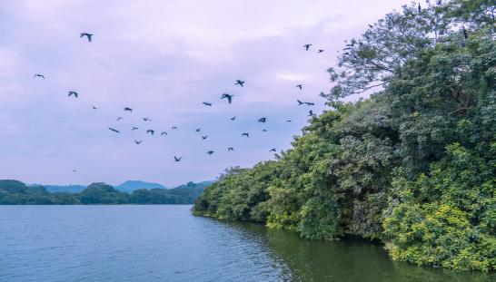 view of rio lempa