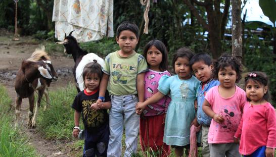 Un grupo de niños sonríen a la cámara.