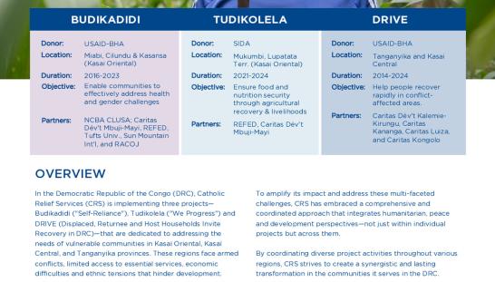 Thumbnail of HDP-case-study-DR-Congo_v3.pdf
