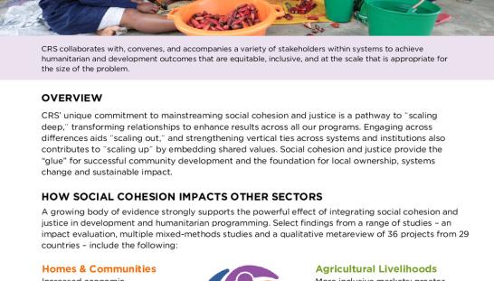 Thumbnail of Mainstreaming Social Cohesion Brand Review-A.pdf