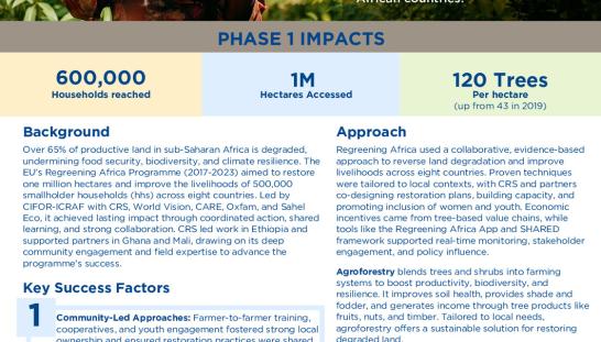 Thumbnail of RegreeningAfrica_Overview_FINAL.pdf