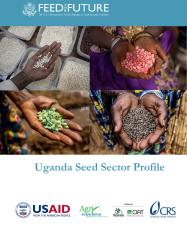 Thumbnail of uganda_seed_sector_profile.pdf