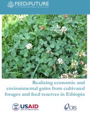 Thumbnail of realizing_economic_and_environmental_gains_from_cultivated_forages_and_feed_reserves_ethiopia.pdf