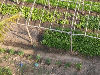Aerial view of a farm in Laos.