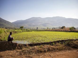 Farmers Restore Soil in Malawi