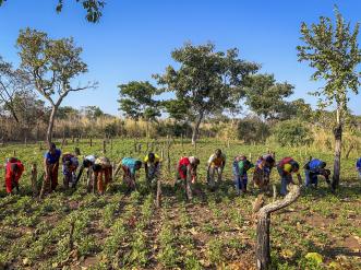 Improved agricultural techniques help farmers build resilience