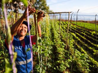 Cyclones and climate change threaten food access in Indonesia but Evita helps her community grow home gardens for sustainable, nutritious food.