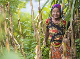 woman in field in Nepal