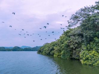 view of rio lempa