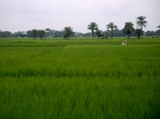 ban2013091936.jpg