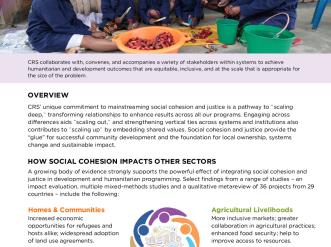 Thumbnail of Mainstreaming Social Cohesion Brand Review-A.pdf