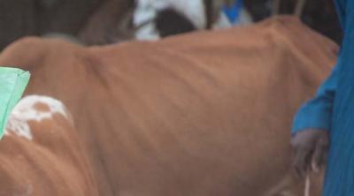 girl in Mali