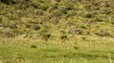 Lesotho watershed inspection